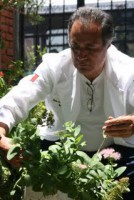 /album/herbolaria/cuidado-de-la-planta-jpg/